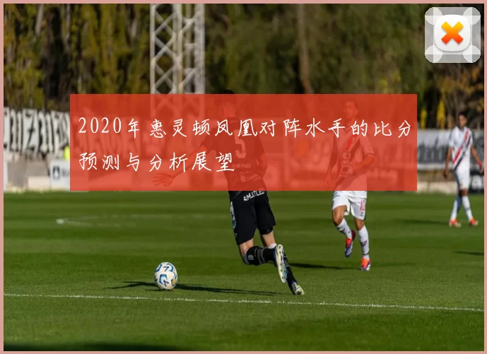 2020年惠灵顿凤凰对阵水手的比分预测与分析展望