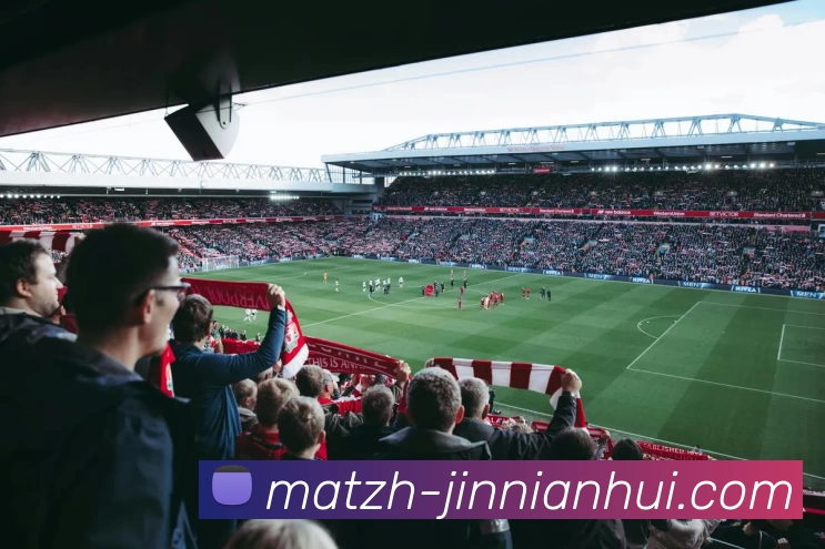 今年会体育平台生态图